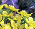 T-20150308-143104_IMG_9136-7_a aa
